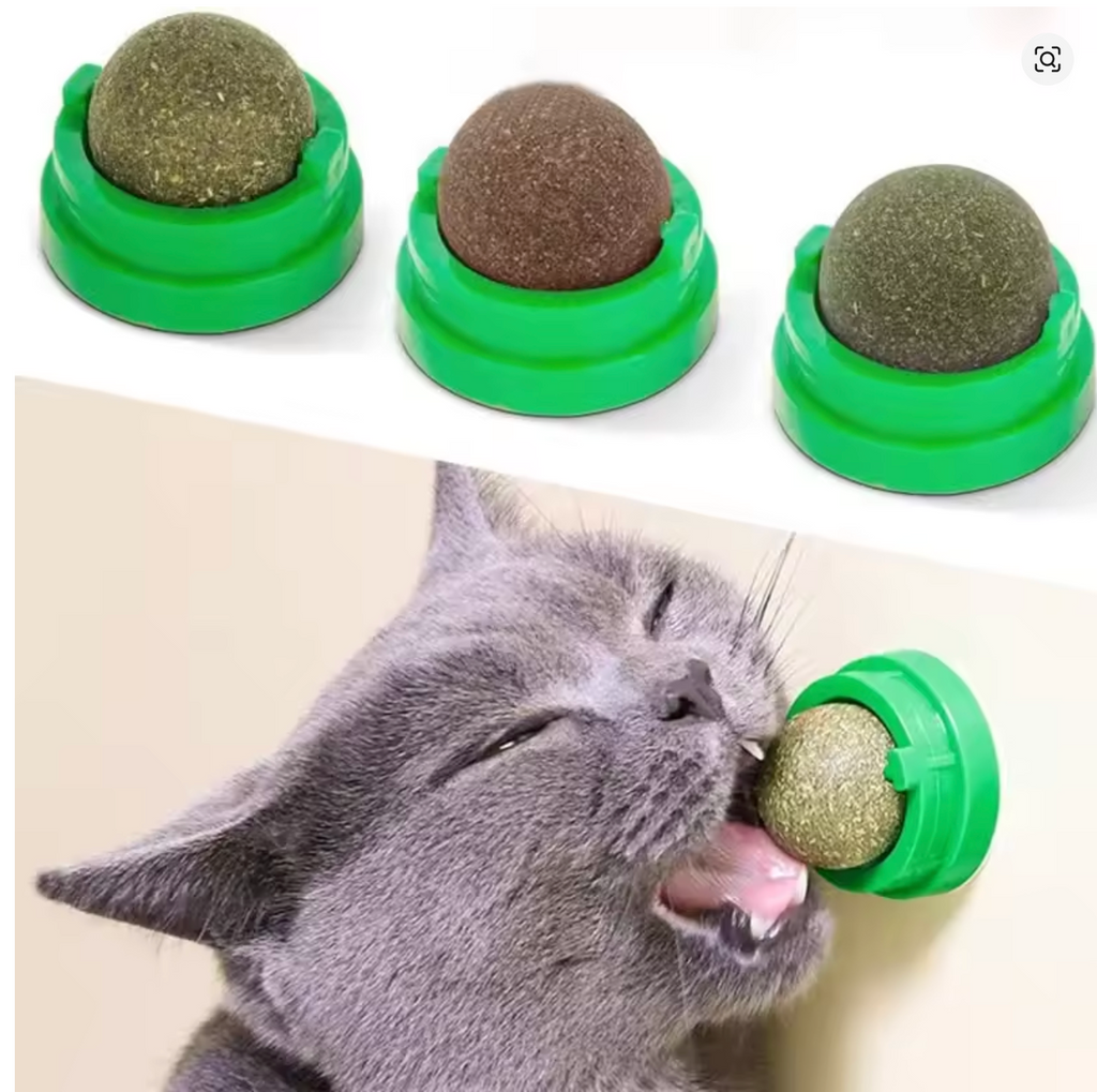 Natural Catnip Wall Stick-on Ball Toy