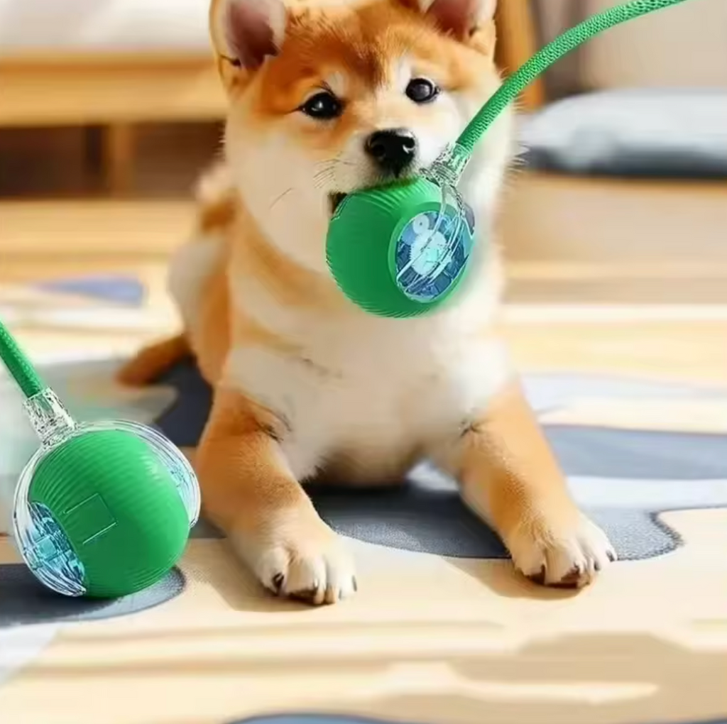 Smart Interactive Rolling Cat Ball