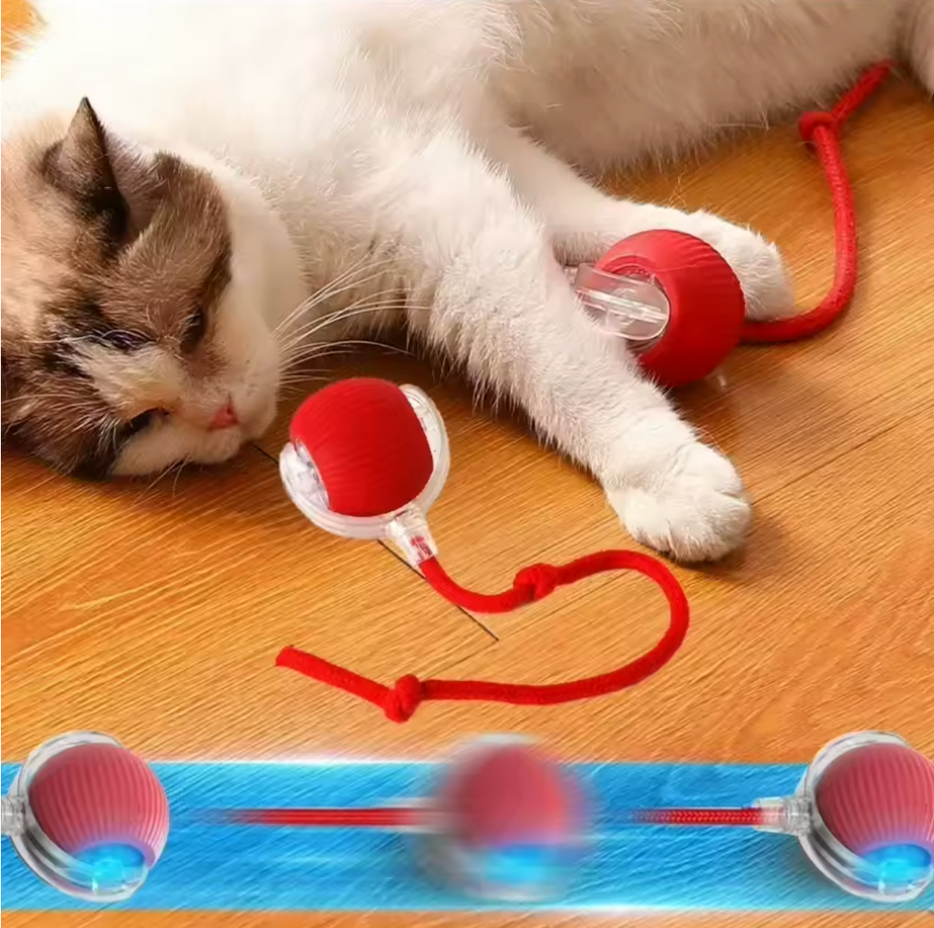 Smart Interactive Rolling Cat Ball