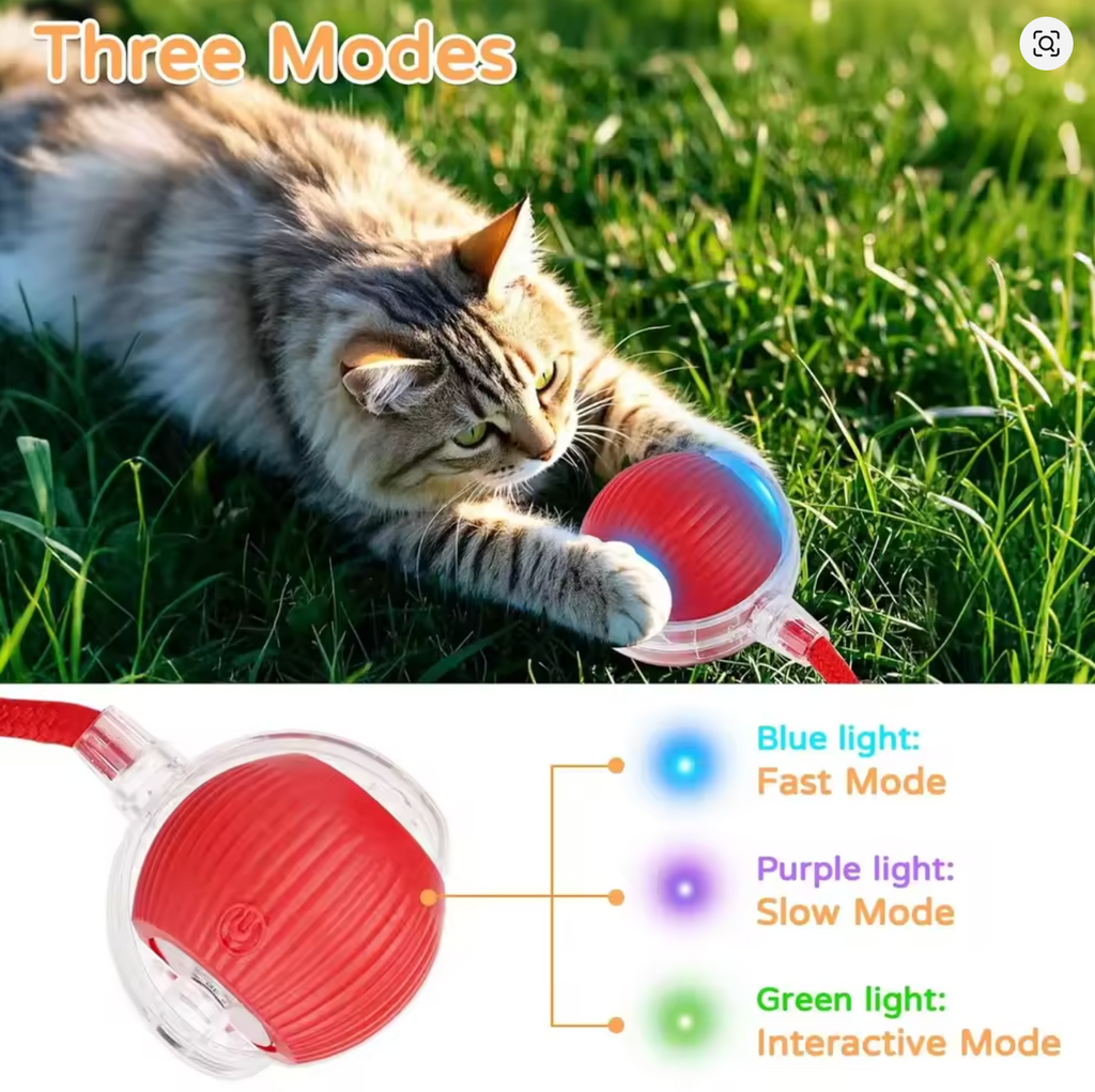 Interactive Rolling Ball Toy