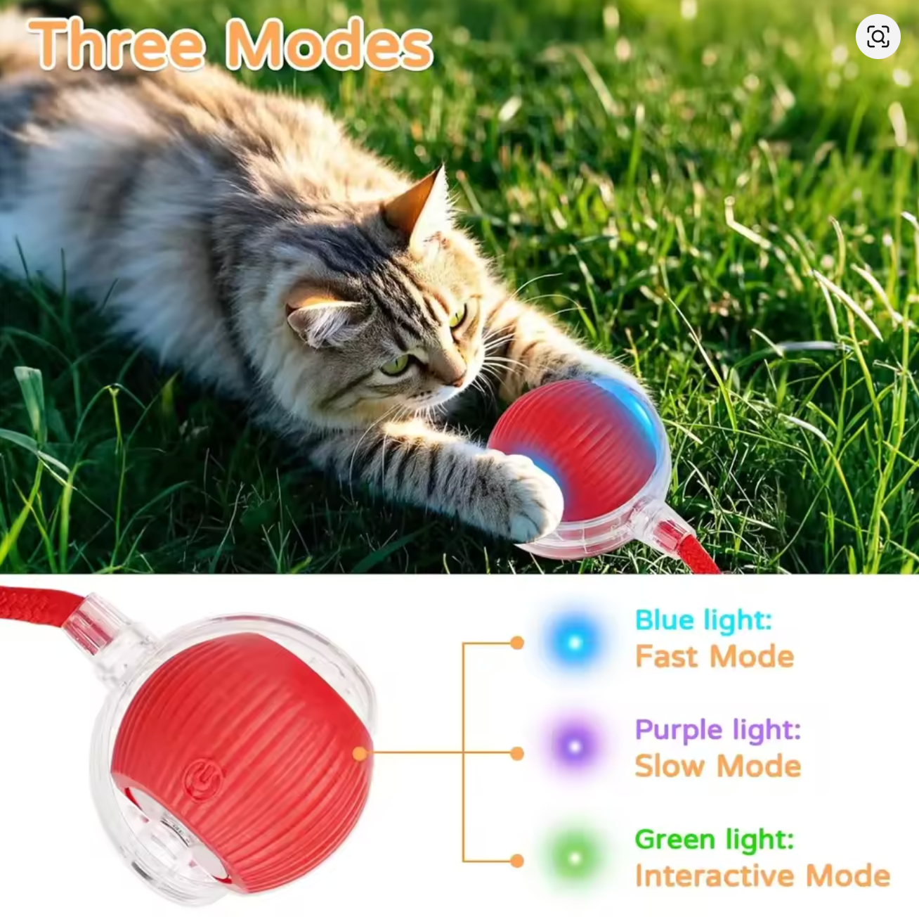 Interactive Rolling Ball Toy