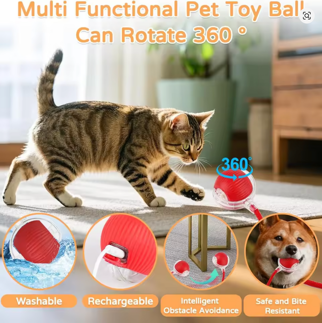 Interactive Rolling Ball Toy
