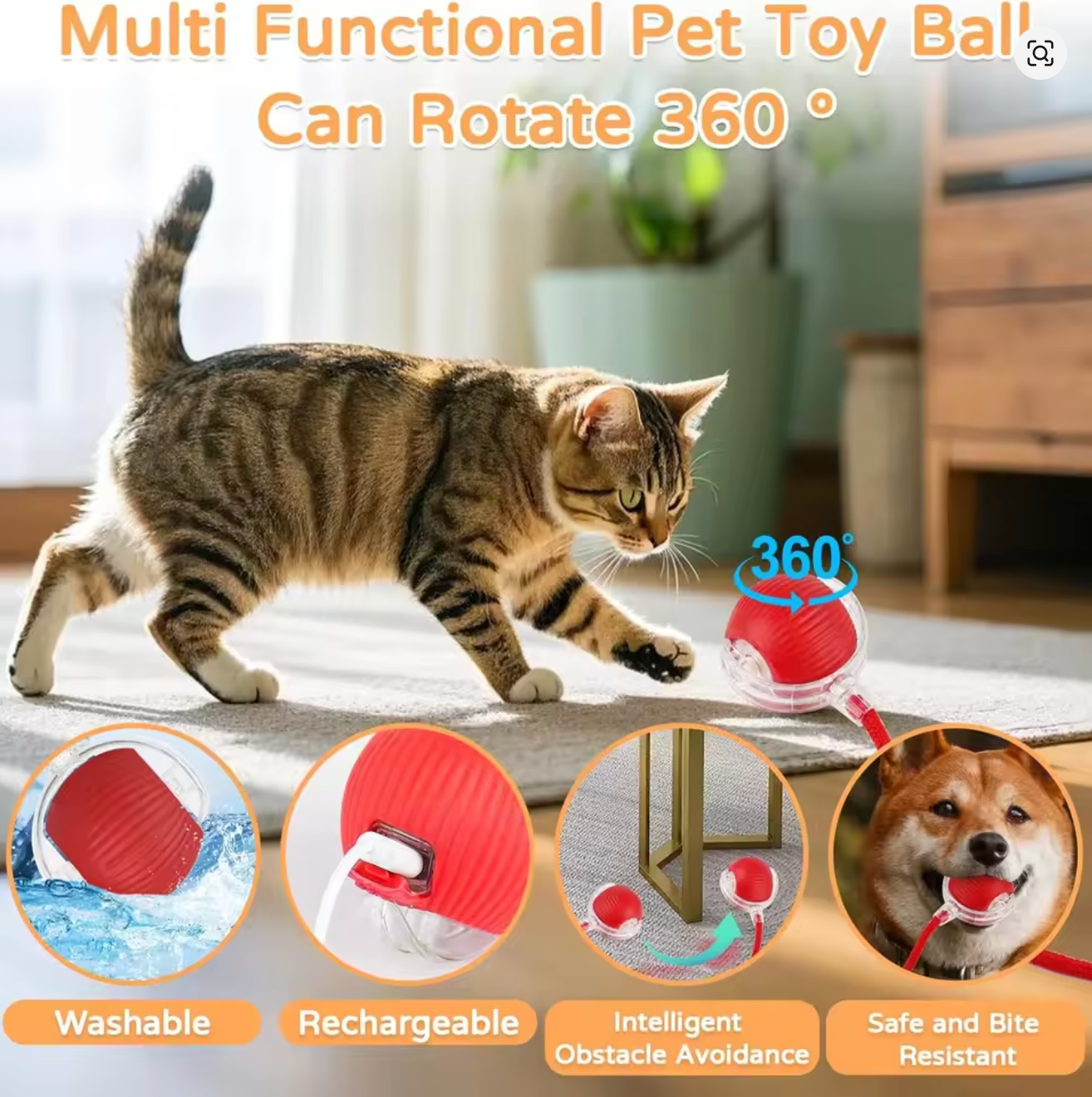 Interactive Rolling Ball Toy